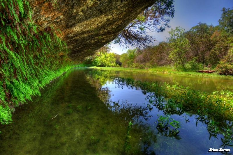 2012.0417-0204.bear.creek by artist Brian Barnes